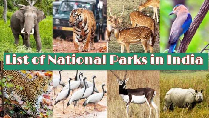 The 20 Best State Parks in India