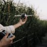 A person operates a drone near tall grass, showcasing technology in nature.